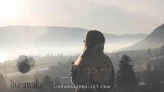 LIVE AWAKE-LEARNING TO HONOUR OUR RYTHMS AND CYCLES