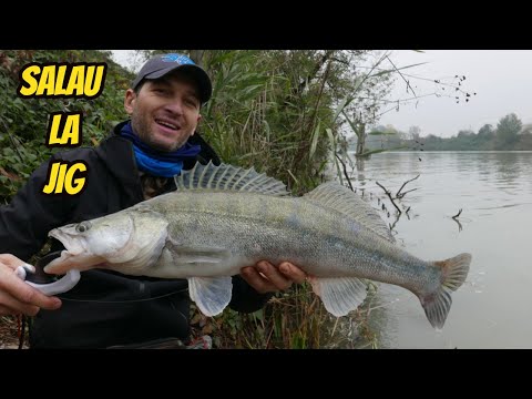 Pescuit la salau. Zander fishing.