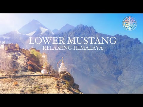 Lower Mustang