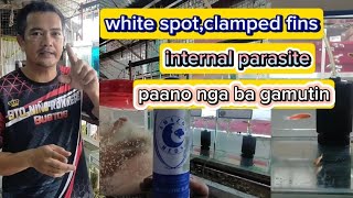 PAANO GAMUTIN ANG MAY SAKIT NA ISDA / WHITE SPOT CLAMPED FINS AT INTERNAL PARASITES