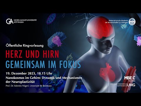 Nanokosmos im Gehirn: Dynamik und Mechanismen der Neuroplastizität I Prof. Dr. Valentin Nägerl