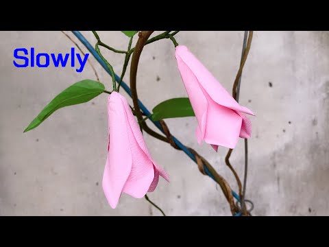 ABC TV | How To Make Lapageria Rosea Paper Flower (Slowly) - Craft Tutorial