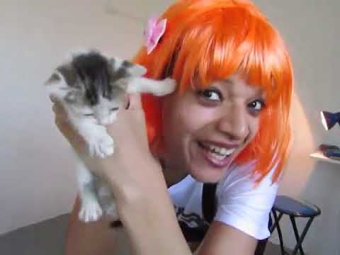 Desafio dos 12 Idiomas - Completo - Anne Kelly