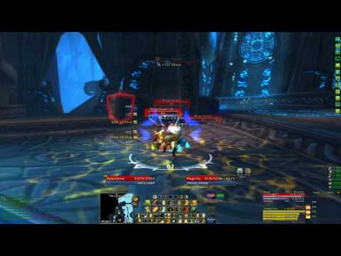 Prot Pally PoV - Heroic Nexus Speed Run