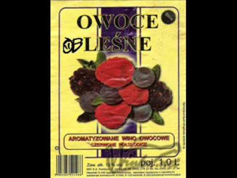 Disgusting Fruits - Nie obchodzi mnie (feat. MięCiel)