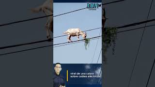 esquivando el miedo