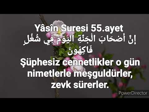 Yâsîn Suresi ve meali 55/64  kıraat  (Ali berisha)