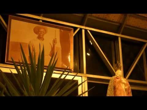 DOU VIVA AO SOL - FLOR DE JAGUBE - PAD.VALDETE 31