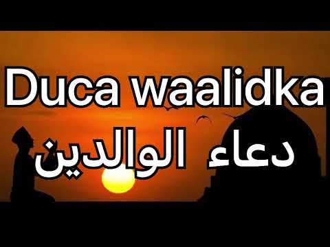Duca waalidka | دعاء  الوالدين