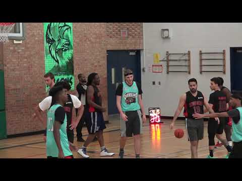 Grizzlies vs Renegades | Sunday tier 3 - tcbl 2020 winter