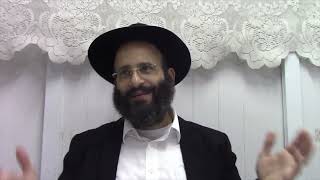 הלכות חג הסוכות וארבעת המינים בקצרה (הרב אלחנן משה נחמנסון) - התמונה מוצגת ישירות מתוך אתר האינטרנט יוטיוב. זכויות היוצרים בתמונה שייכות ליוצרה. קישור קרדיט למקור התוכן נמצא בתוך דף הסרטון