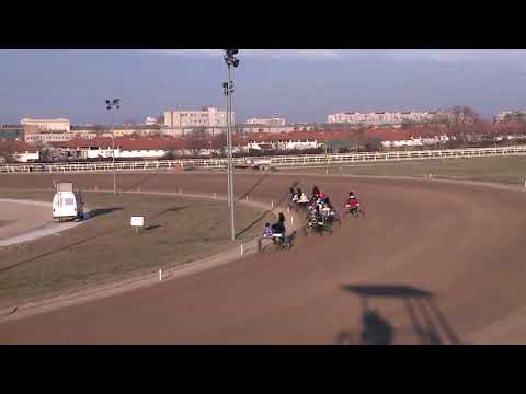 2019.12.31. 02. futam - CSILLAGSZÓRÓ DÍJ