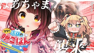 【襲来/カメラ枠】RERE:はぁちゃまと作る❣ベア・ザ・シチュー❣ #ホロの晩ごはん 【ホロライブ / ロボ子さん・はぁちゃま】