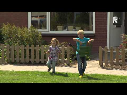 Meerkerk zoekt sloper Koningslinde