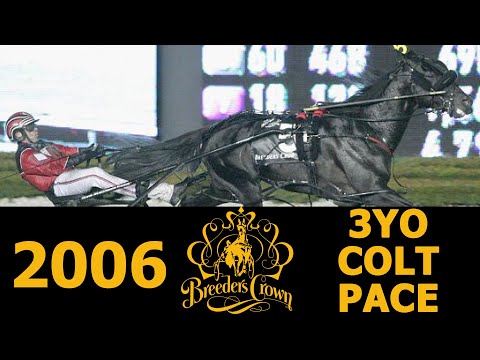 2006 Breeders Crown - Shark Gesture - 3YO Colt Pace