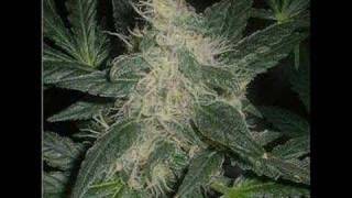 Andre Nickatina &amp; Equipto - Pieces of a Broken Man