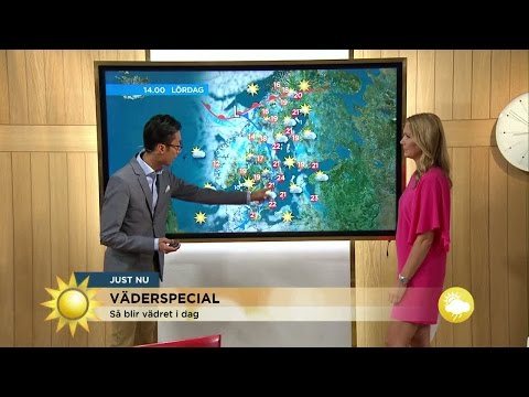 Väderspecial: "Regnskurar och inslag av åska" - Nyhetsmorgon (TV4)
