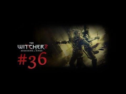 Let's Play The Witcher 2 [HD+][Blind] - Part #36 (Ger.) - Was zum... Eule! -