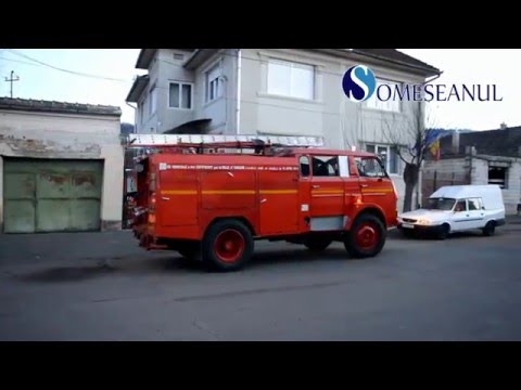 Cruzime fără margini: Câine bătut de propriul stăpân și apoi aprins în mijlocul camerei! VIDEO+FOTO