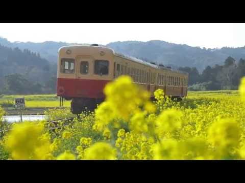 【2016】春（３）小湊鉄道 "An old-style train becomes a nostalgia express" Promotion Movie