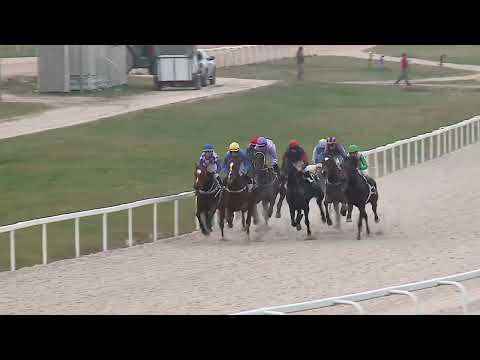 2022.11.20. 07. futam - LIGETTELKI DŰLŐ HENDIKEP (III.o.) (szintetikus pálya)