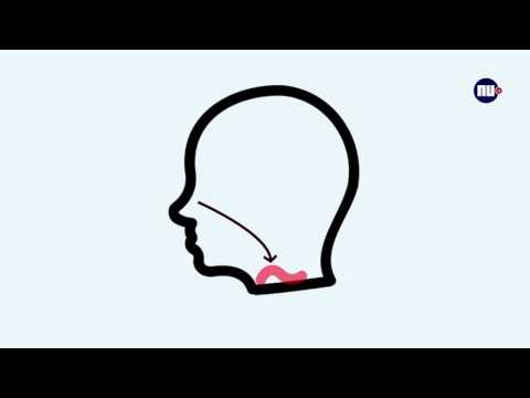 download lagu mp3 mp4 Tips Verkoudheid, download lagu Tips Verkoudheid gratis, unduh video klip Tips Verkoudheid