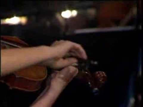 Terrafolk and Anja Bukovec