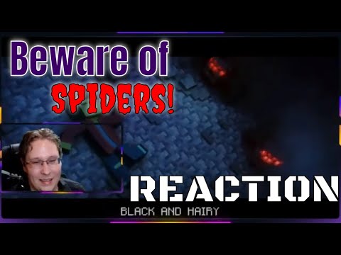 EPIC REACTION! JeffSquared reacts to Minecraft Spider Rap!