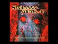 Strapping Young Lad - Skin Me 