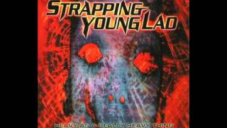 Strapping Young Lad - Skin Me