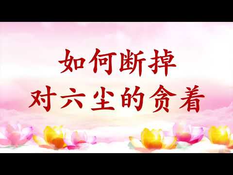 2.  【节目录音+字幕】如何断掉对六尘的贪着