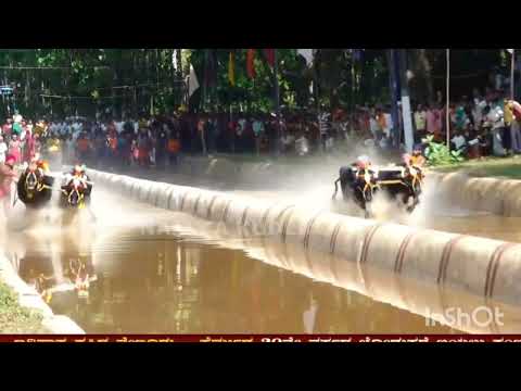 Mangalore kambala finals race part 🔥| The kambala | Kambala