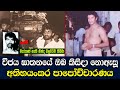 විජය ඝාතනයේ සම්පුර්ණ පාපොච්චාරණය The Murde