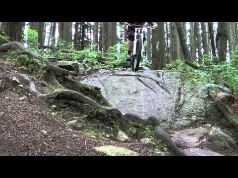 Specialized Status Review