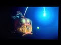 Closing To Finding Nemo 2004 UK DVD