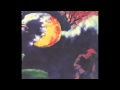 Wingtip Sloat - A Tree Fell