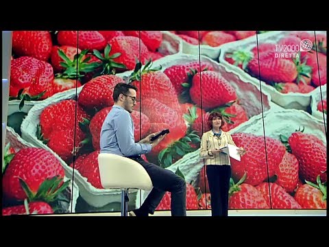 Siamo Noi 27 maggio 2020 – Pasti, spiagge ed alberghi: aumenti del 20% per l'estate 2020