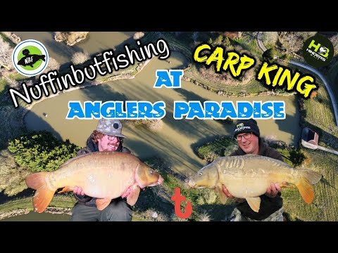 312 Nuffinbutfishing & Carp King At Anglers Paradise