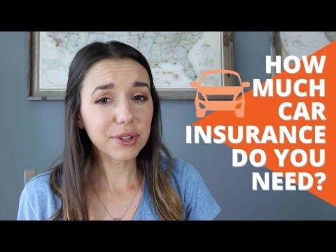 , title : 'How Much Car Insurance Do You Need | 4 EASY STEPS'