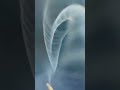 Burning incense... #shorts #shortvideo #incense #burning #smoke