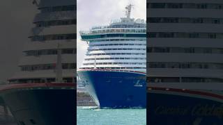 Carnival Celebration 🛳️ #share #like #subscribe #comment #cruise #vacation #shortvideo #shortsvideo