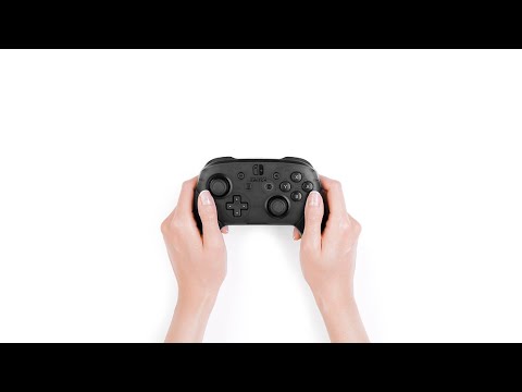 Nintendo Switch Controller Skin
