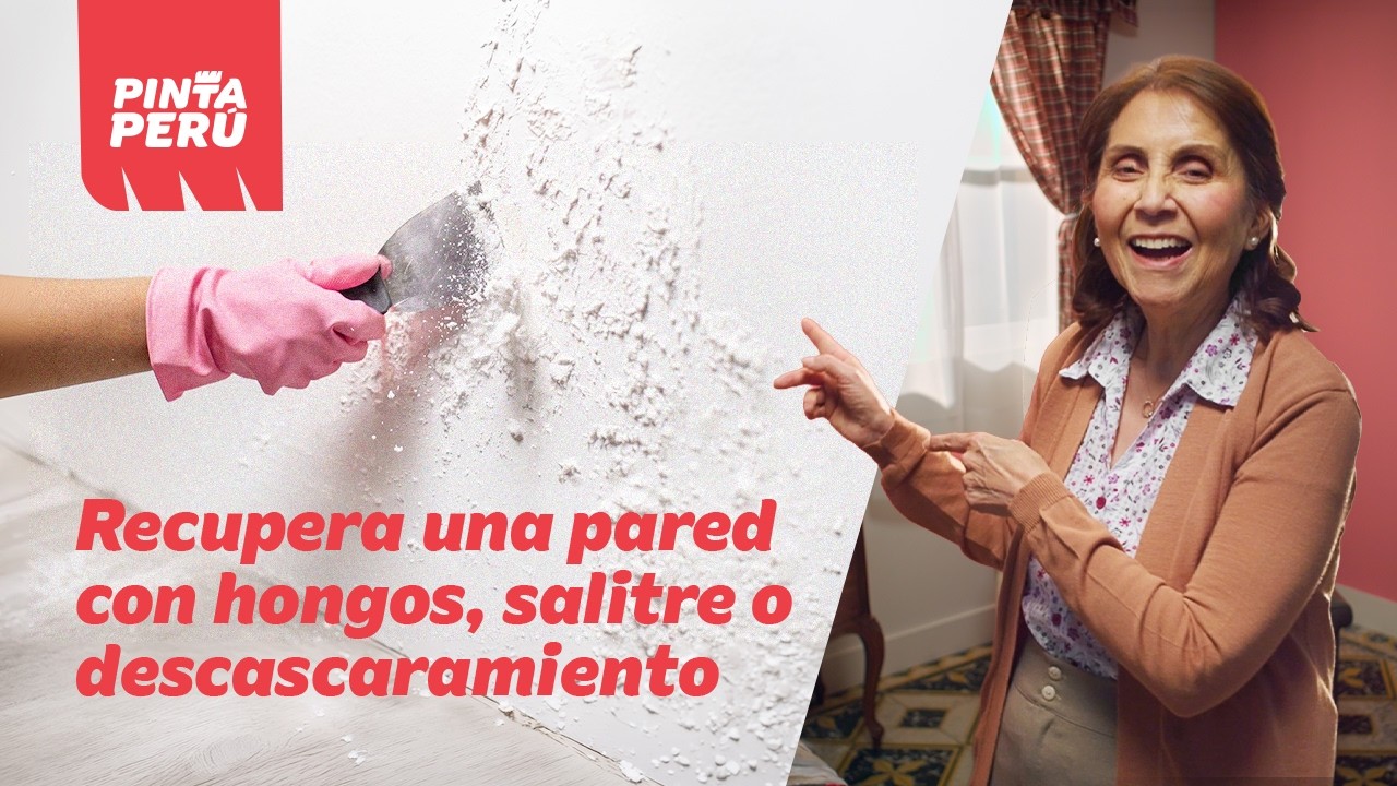 Manos a la Brocha: Aprende cómo pintar paredes con hongos, salitre o descascaramiento ⚠️
