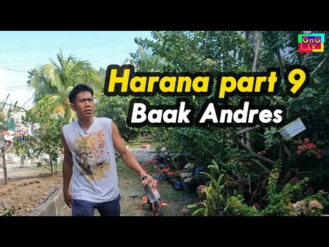 Harana Part 9 - Baak Andres