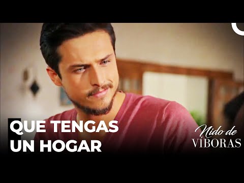 Sra. Bereket Quiere Que Ejder Se Case - Nido De Víboras