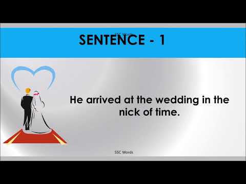 IN THE NICK OF TIME Idiom 293 # Meaning and five sentences # SSC Words