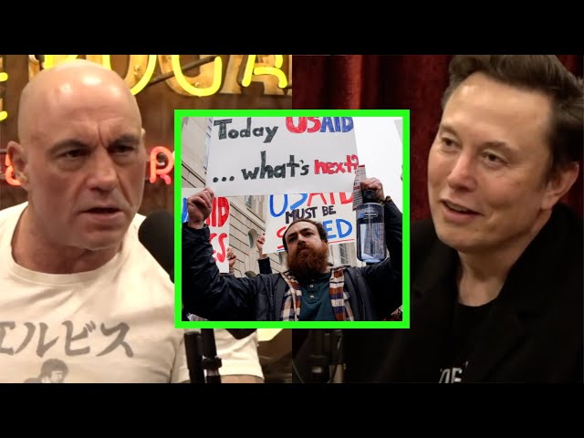 Elon Musk gives four-word reaction to Joe Rogan's discussion on DOGE ...