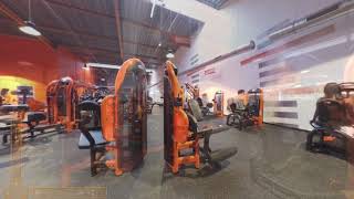 Miniature de la vidéo