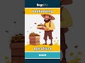 beekeeping - apicultura video thumbnail