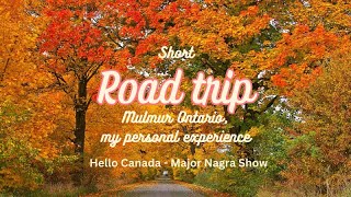 preview picture of video 'Airport Road in Mulmur, Ontario, scenic beauty of Canadian Countryside on a sunny day of October.'